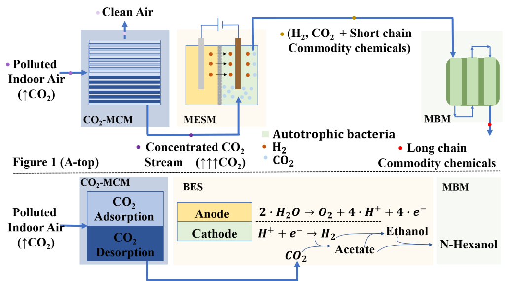 The MICRO-BIO process – Lequia